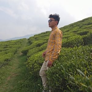 Meet your Posher, Hangsa